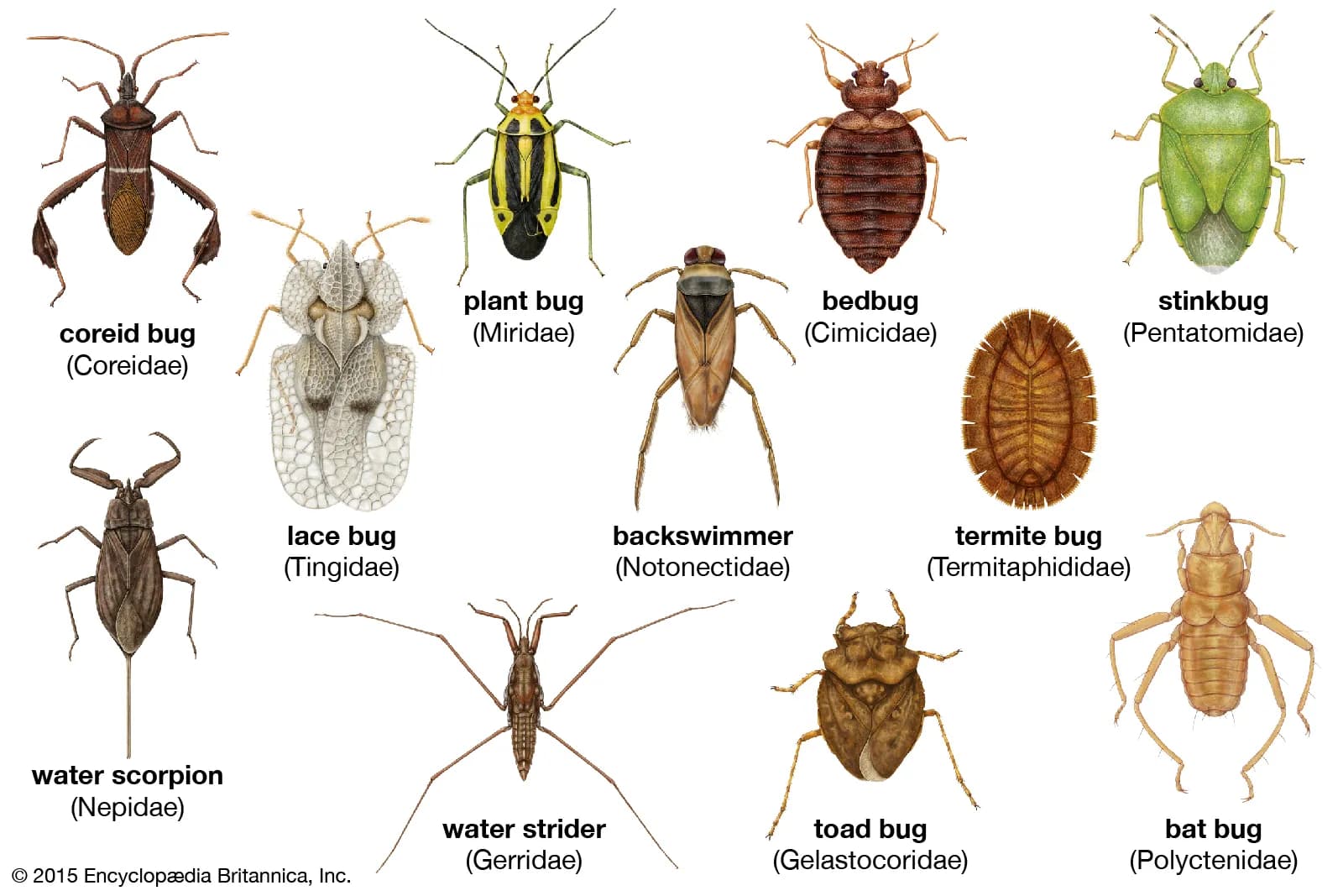 项目启动相关bug